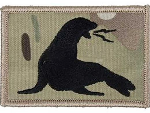 TMC SEAL VELCRO PATCH (MULTICAM)